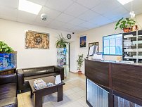 Мед-Дент в Домодедово