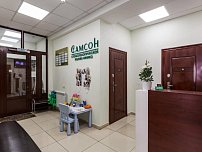 Самсон в Орехово-Зуево